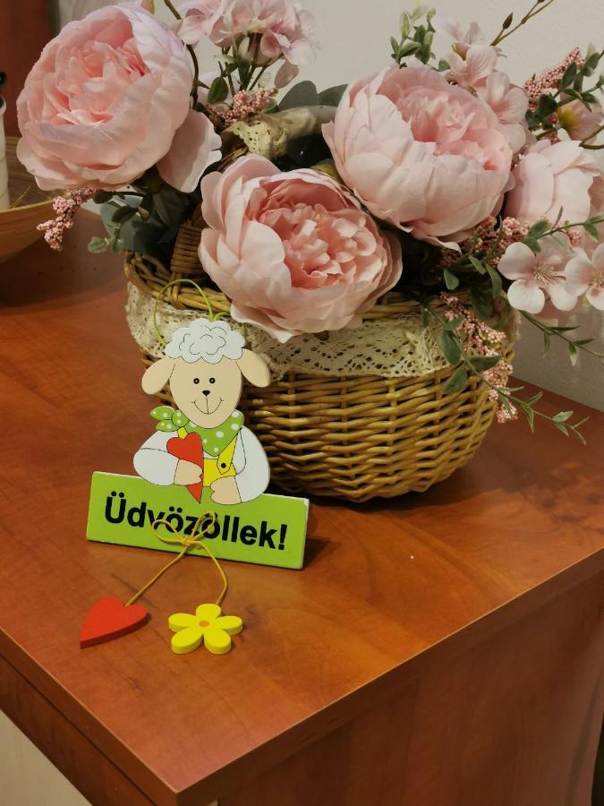 Zoeldlomb Apartman 希欧福克 外观 照片