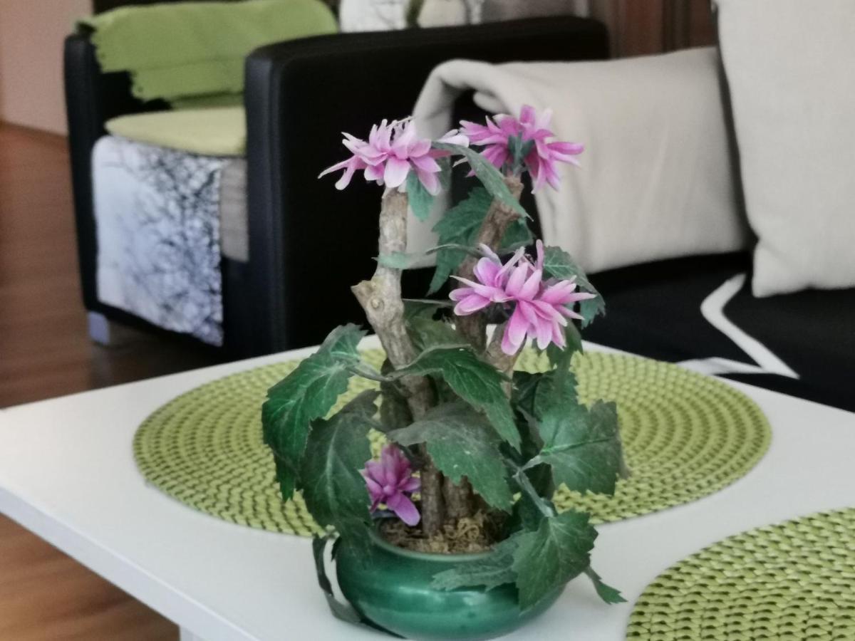 Zoeldlomb Apartman 希欧福克 外观 照片